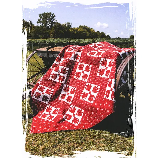 PATTERN BOOK, Red & White Gatherings Quilts - Image 2